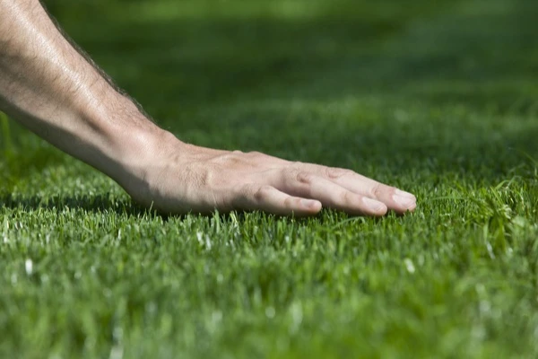 Joel Concrete and Landscaping's Other Services Joel Concrete and Landscaping's Other Services